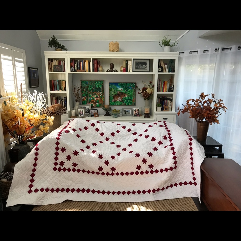 Beautiful Christmas quilt!